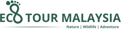 EcoTour Malaysia Client Logo